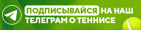 Медведев о том, с каким персонажем хотел бы сыграть в паре: «С Гарри Поттером»